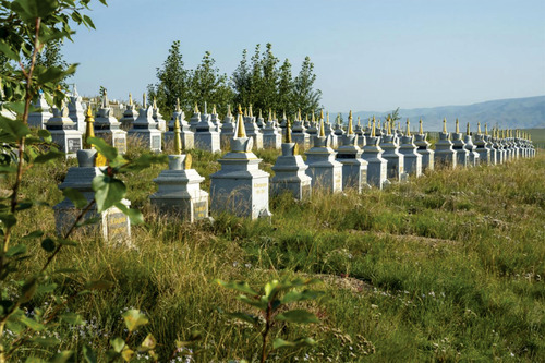 Оршуулгын газрыг ойжуулъя
